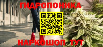 ALPHA-PVP Бердск