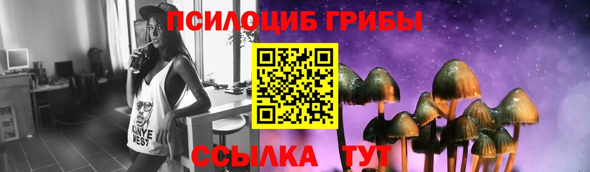 Псилоцибиновые грибы мицелий  Вход с VPN  Богородицк 