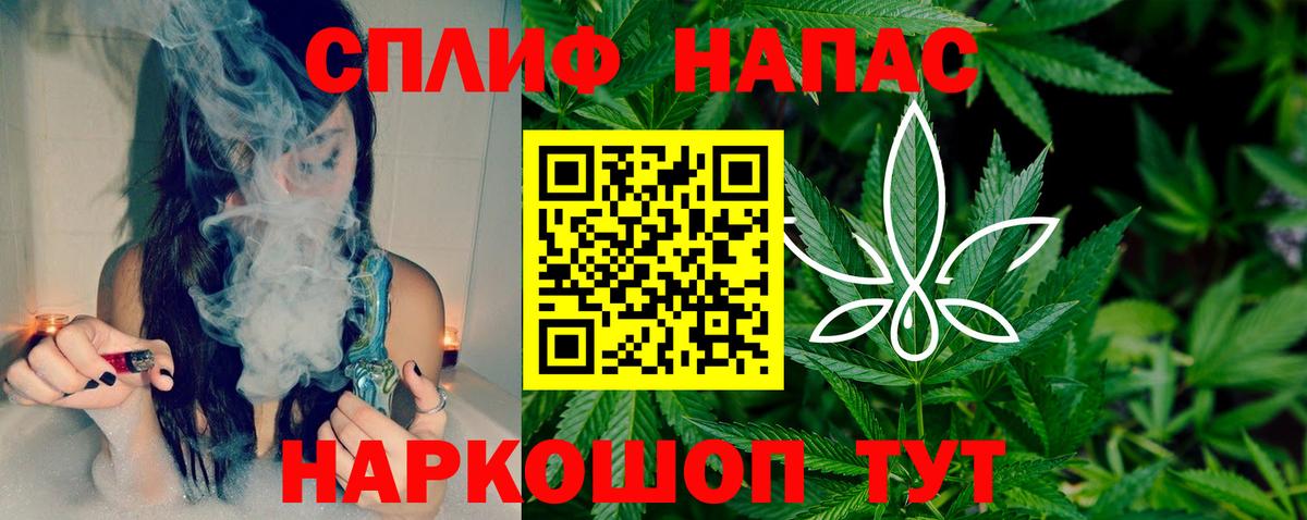 Каннабис семена  Бошки марихуана планчик  Вход с VPN  Конопля MAZAR  Богородицк  Бошки Шишки план 